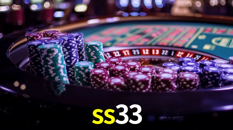 ss33 App Interface