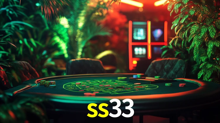 Premium Interface ss33